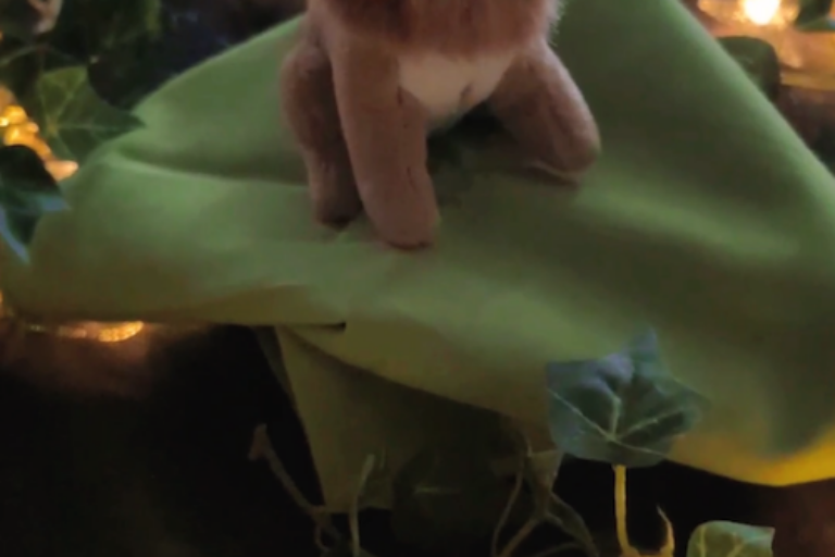 Konzepttag in Nezabudka Nordend 