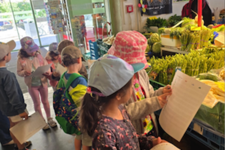 Projekt „Warum muss die Mango Fliegen?» 