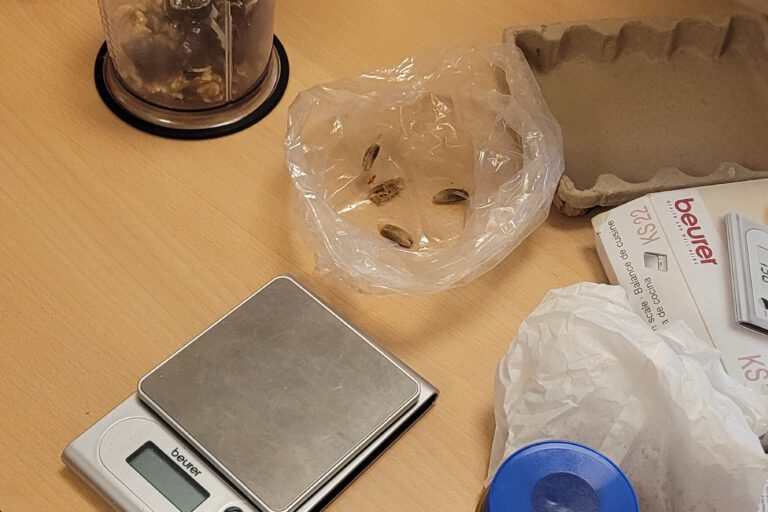 Projekt „Der kleine Chefkoch“